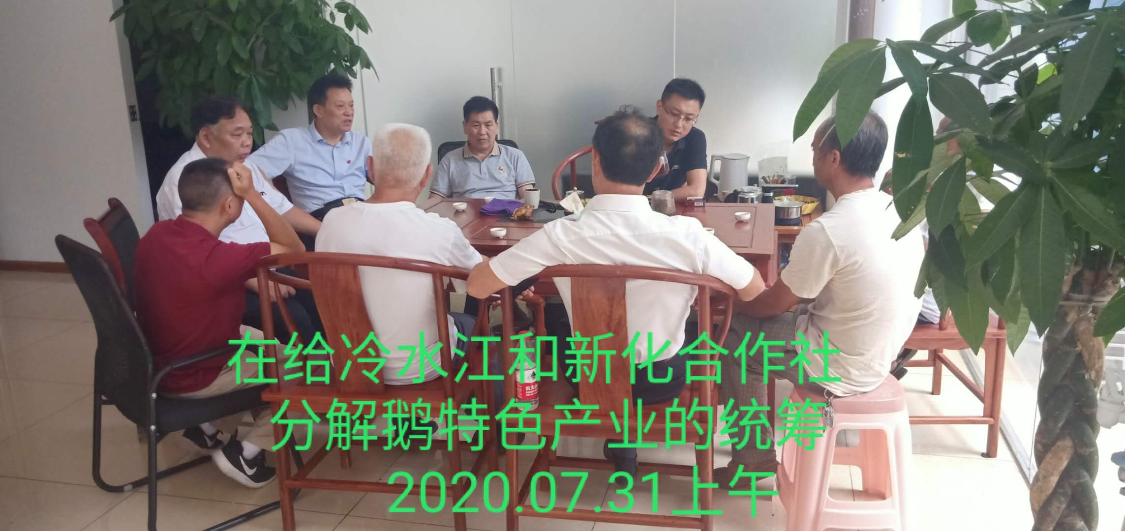 湖南乔生科技有限公司,污染水体还原,鹅特色产业化,高新技术研发,新能源产品销售,科技信息咨询服务