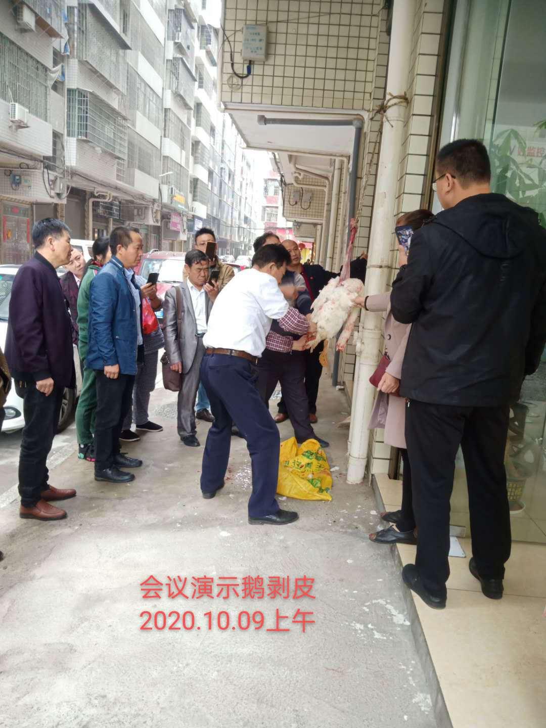 湖南乔生科技有限公司,污染水体还原,鹅特色产业化,高新技术研发,新能源产品销售,科技信息咨询服务