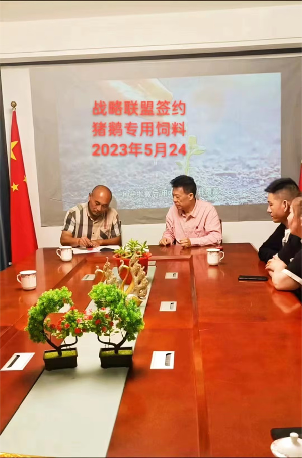 湖南乔生科技有限公司,污染水体还原,鹅特色产业化,高新技术研发,新能源产品销售,科技信息咨询服务